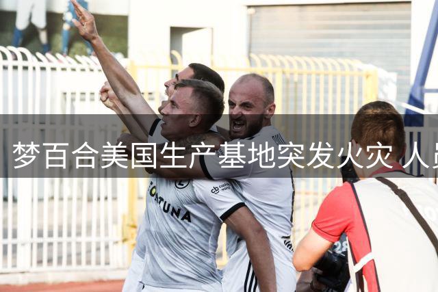 梦百合美国生产基地突发火灾 人员无碍损失待评估