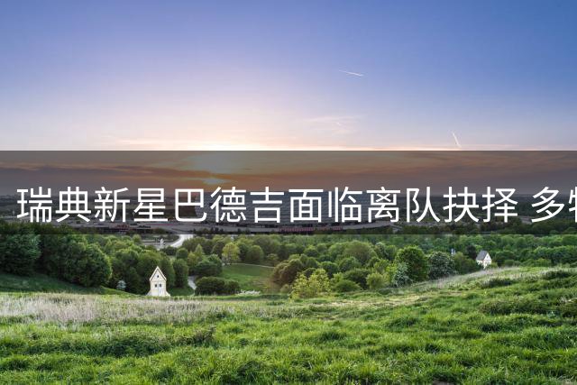 瑞典新星巴德吉面临离队抉择 多特蒙德成潜在下家